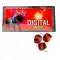 Digital Bomb (10 Pcs)